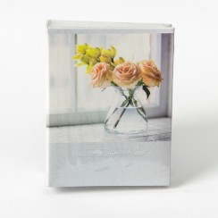 Albums Gedeon 10x15 / 100 Albums Gedeon 10x15 / 100