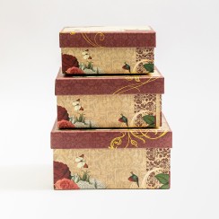 Dāvanu kastes Dāvanu kastes