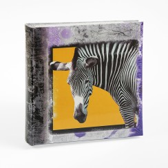 Foto albums Gedeon 10x15 / 200  Foto albums Gedeon 10x15 / 200