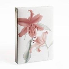 Foto albums Heisler 10x15 / 300 Foto albums Heisler 10x15 / 300