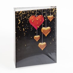 Foto albums Gedeon 10x15 / 100 Foto albums Gedeon 10x15 / 100