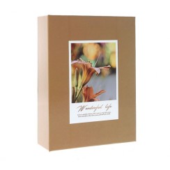 Foto albums Gedeon 10x15 / 100 Foto albums Gedeon 10x15 / 100