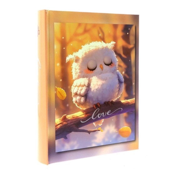 Photo album 10x15 / 200