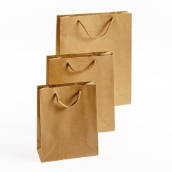 Dāvanu maisiņš 24x19x8 cm