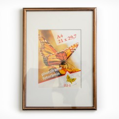 Rāmis Rocket 21x30 cm (A4) Rāmis Rocket 21x30 cm (A4)