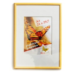 Rāmis Rocket 21x30 cm (A4) Rāmis Rocket 21x30 cm (A4)