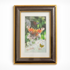 Rāmis Dream 10x15 cm Rāmis Dream 10x15 cm