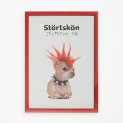 Foto rāmis Polaris 21x30 cm (A4) Foto rāmis Polaris 21x30 cm (A4)